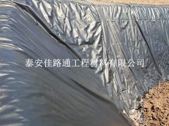 沼气池防渗膜：打造完美密封的艺术